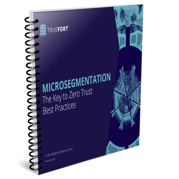 Microsegmentation The Key to Zero Trust Best Practice cover